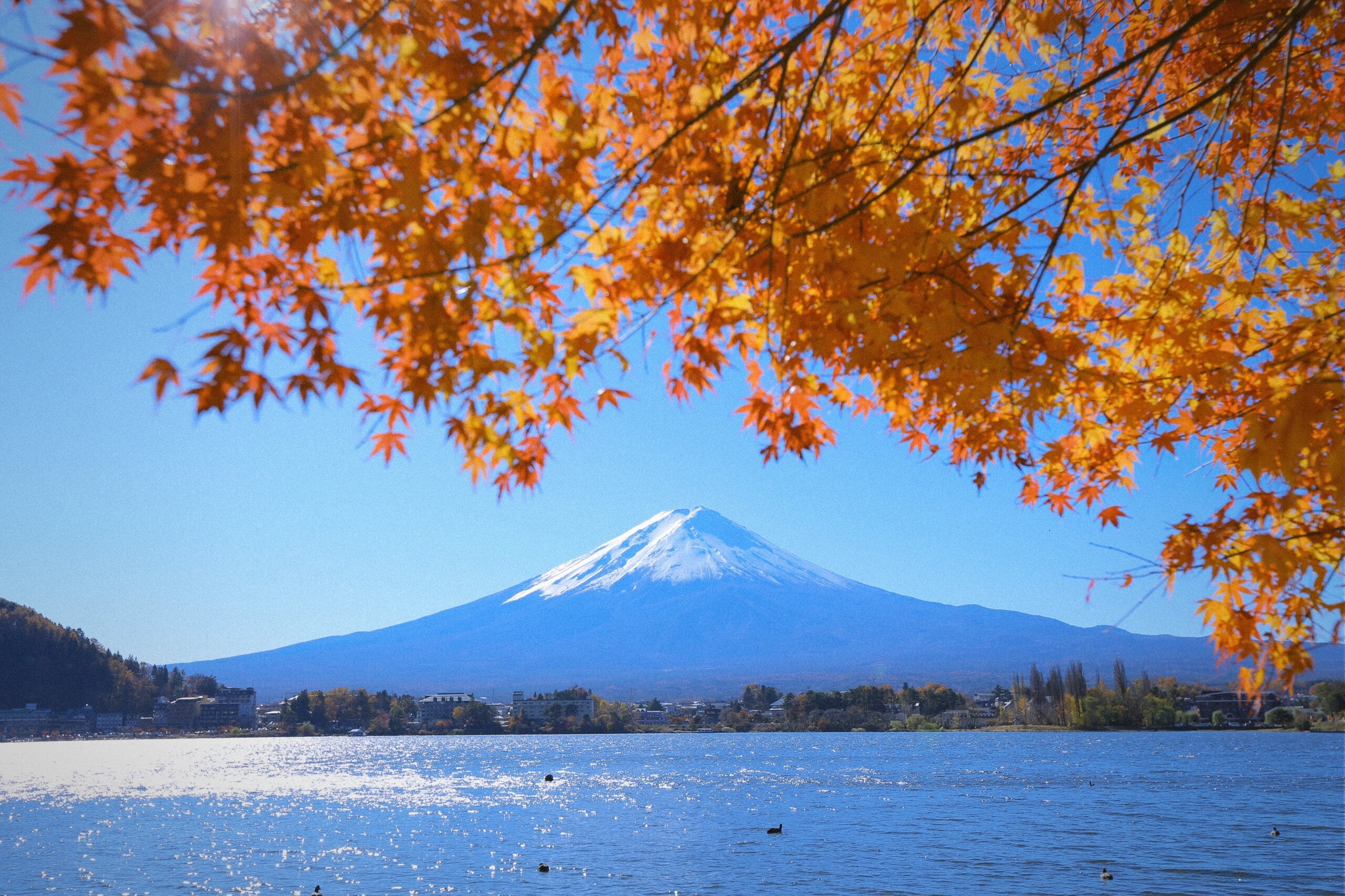 日本“零非法居民”计划加速：合规性成在留唯一生命线，你的材料经得起严查吗？