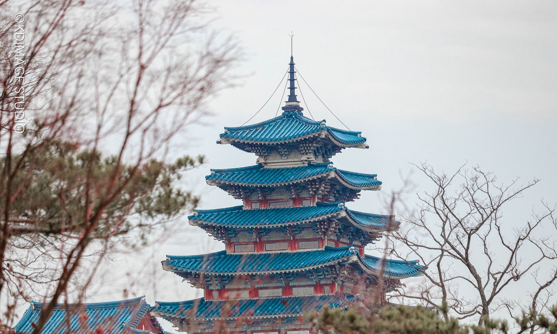 韩国 F5 人才通道与常规路径详解